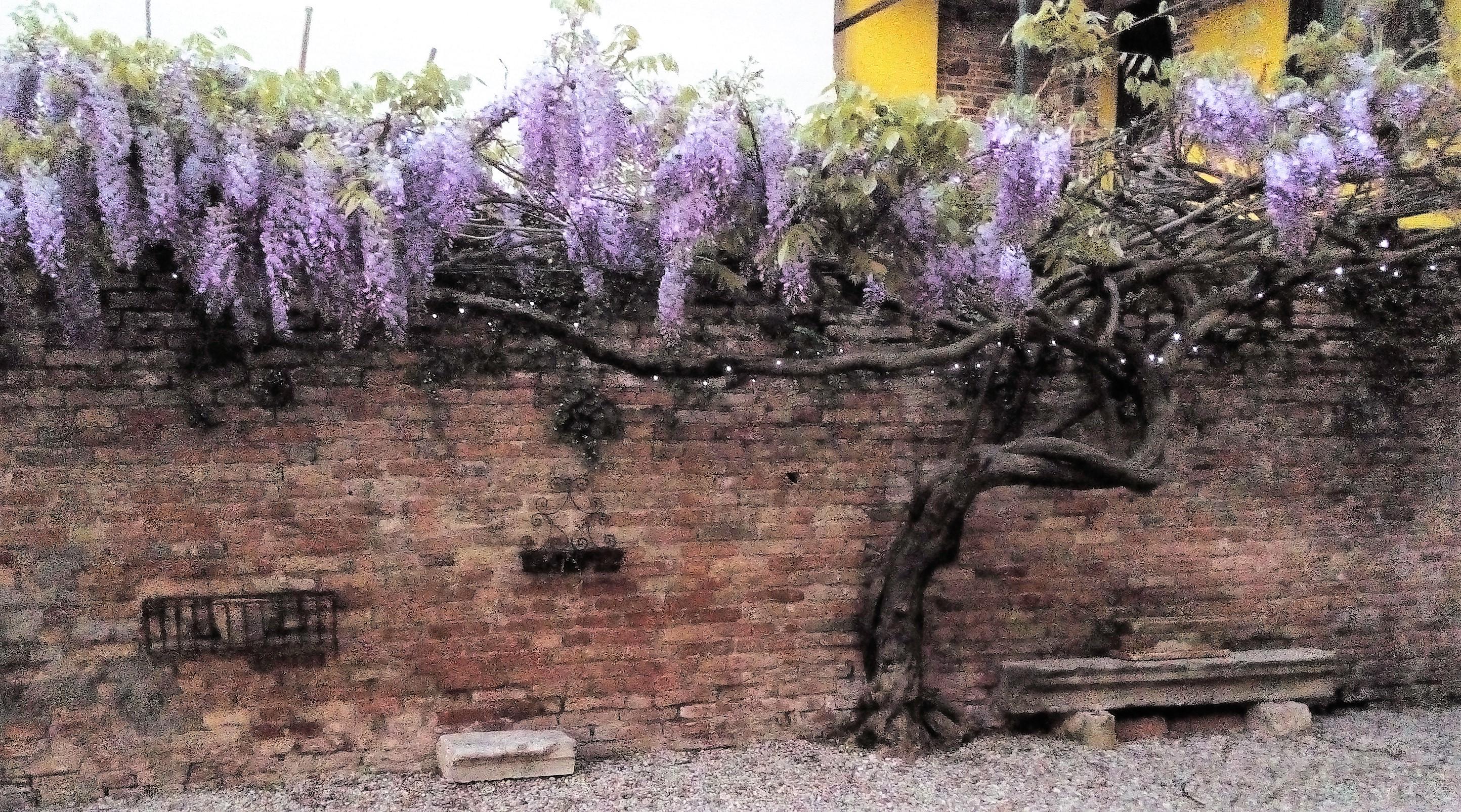 Relais Alcova del Doge Mira Exterior foto
