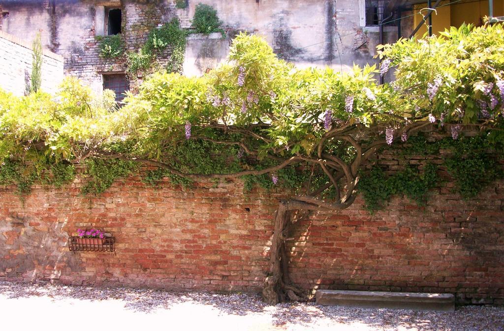Relais Alcova del Doge Mira Exterior foto